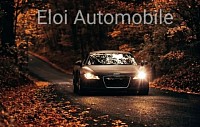 Eloi Automobile - Audi